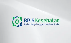BPJS Kesehatan - sejenak.id